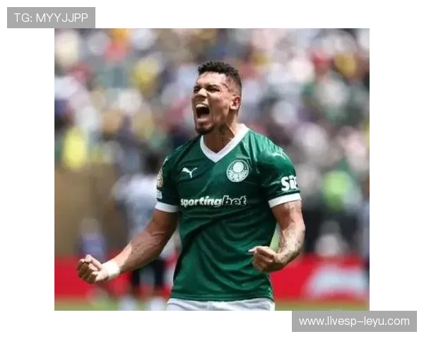 南美11大豪门俱乐部盘点：帕尔梅拉斯登顶新王，巴西球队为何冠军数偏少？