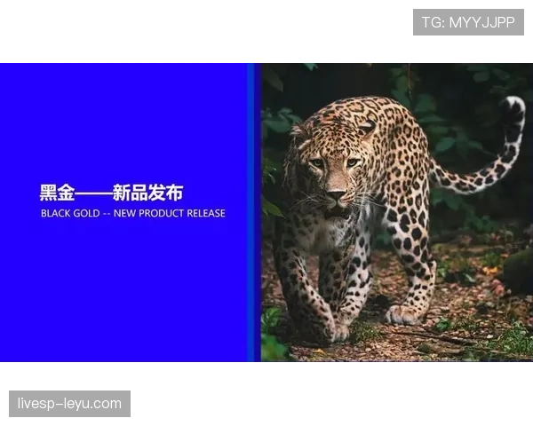 挪威队青训体系推陈出新，打造未来足球明星摇篮