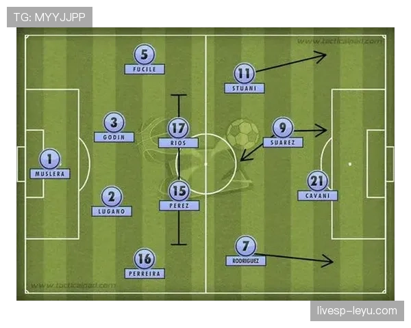 巴西队战术解析 巴西队战术解析