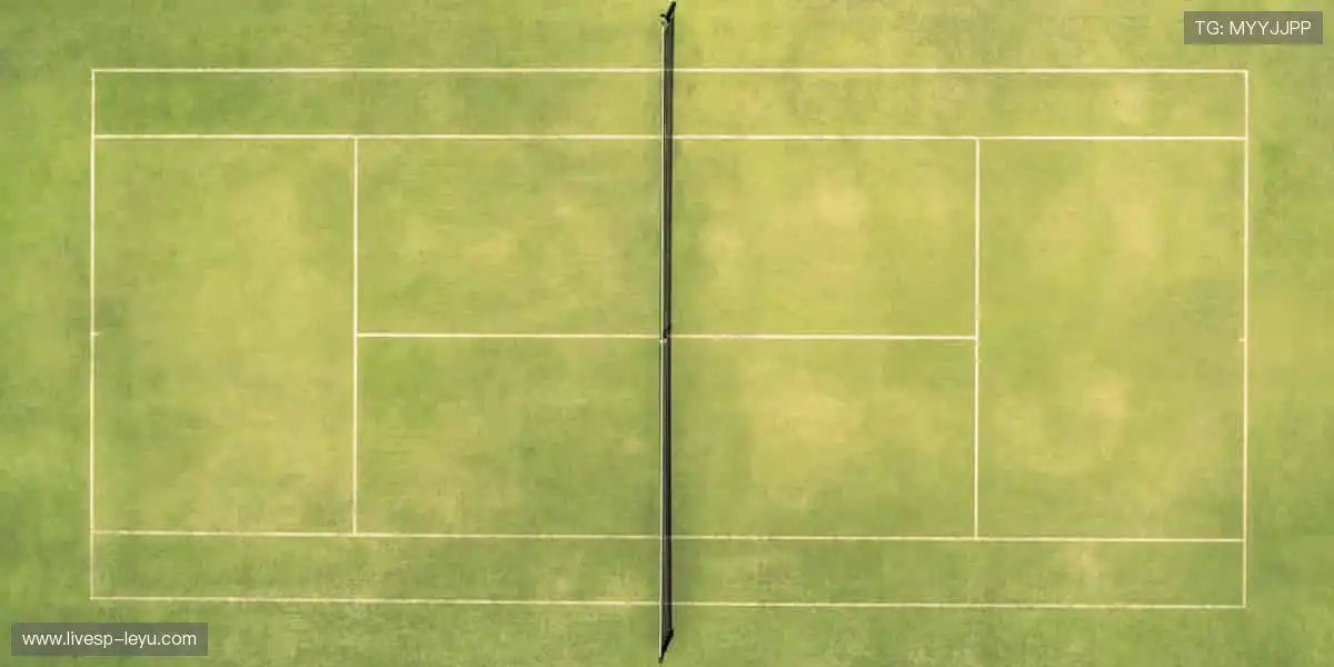 📱 指尖轻点，赛事同步全球！🌍